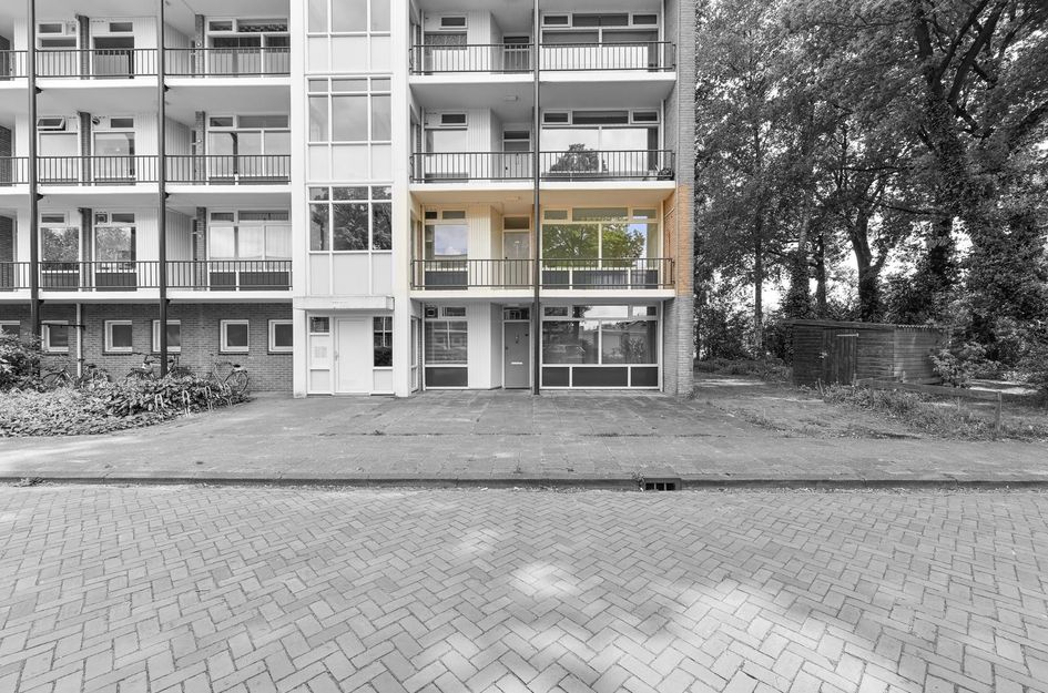 De Reiger 175
