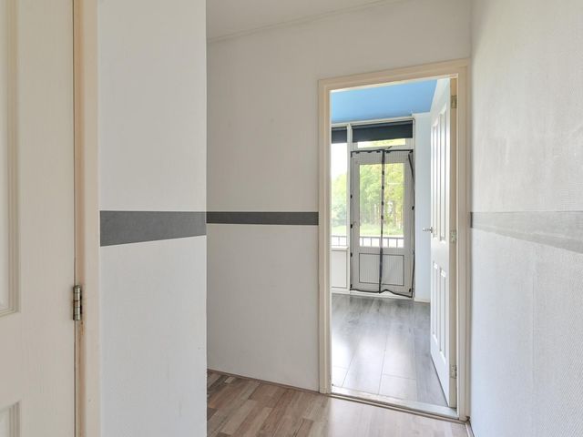 De Reiger 175, Hoogeveen