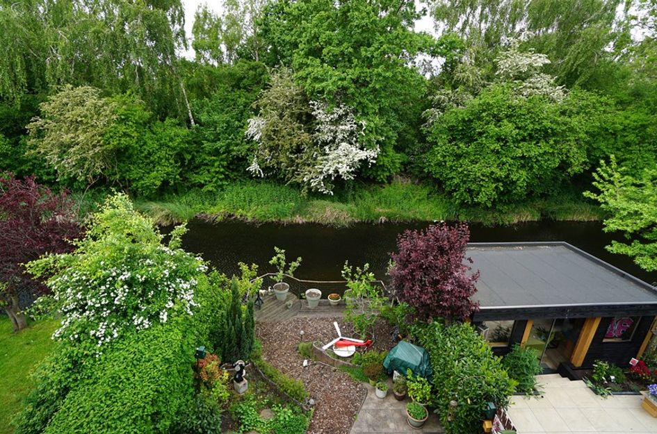 Boterbloem 10