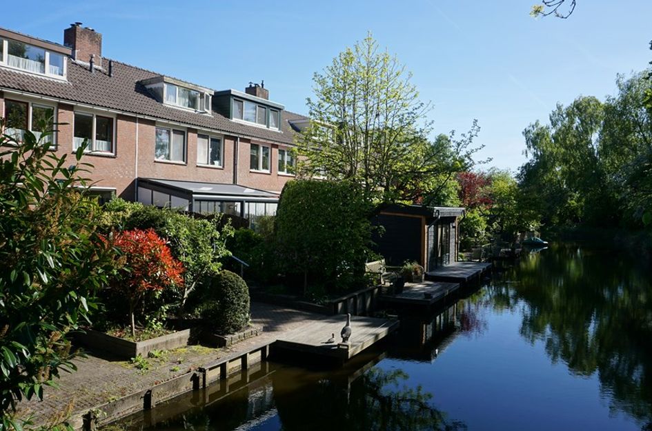 Boterbloem 10