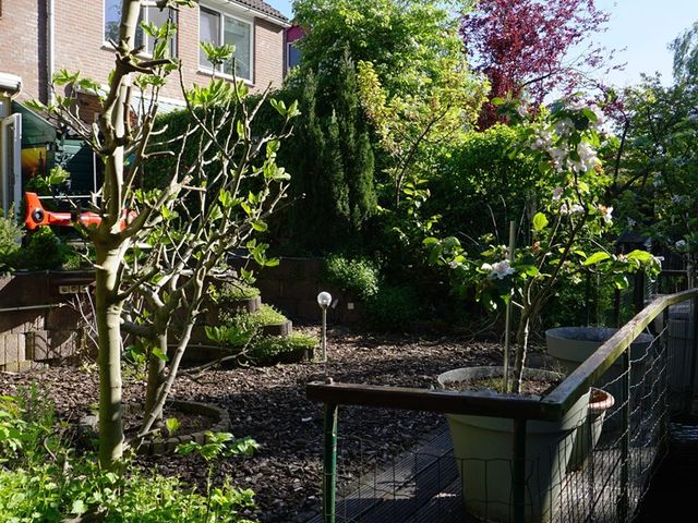 Boterbloem 10, Purmerend