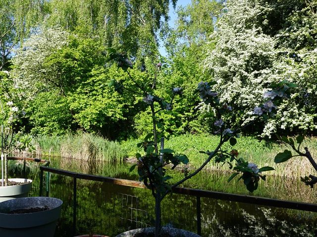 Boterbloem 10, Purmerend