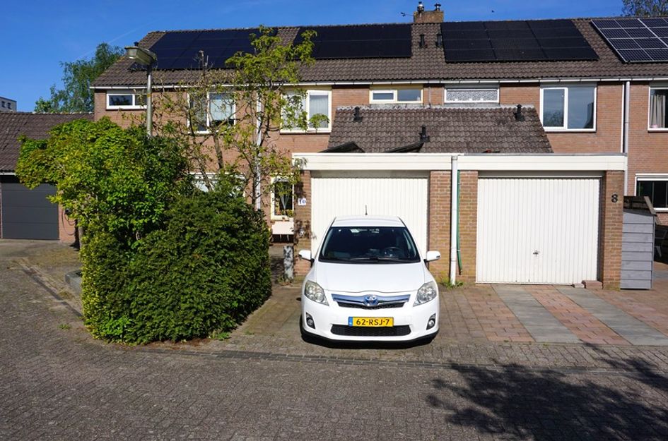 Boterbloem 10