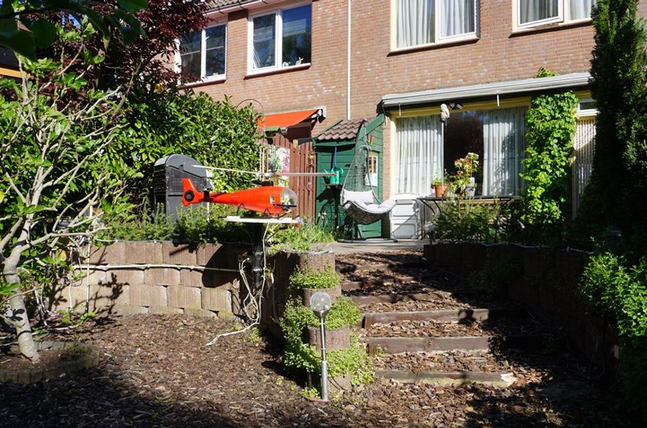 Boterbloem 10