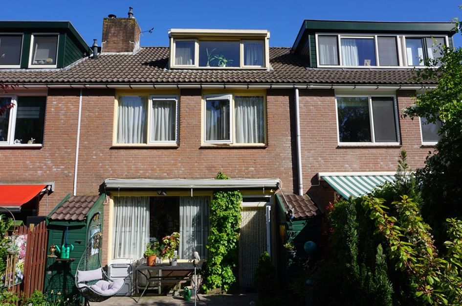 Boterbloem 10