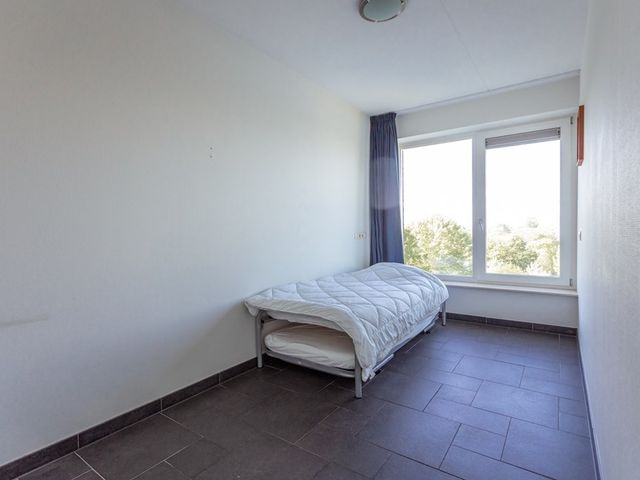 Bosboompad 50, Rosmalen