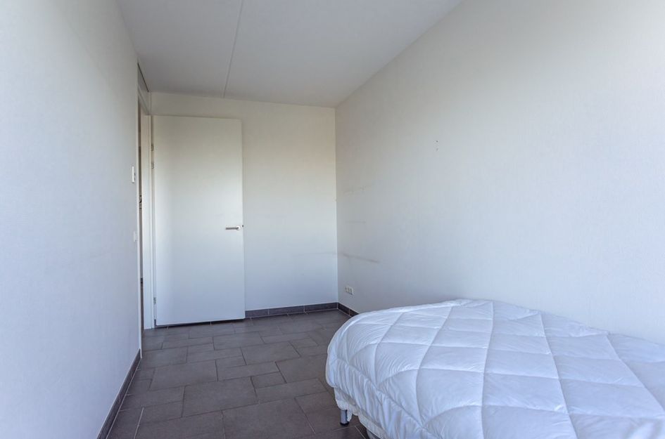 Bosboompad 50