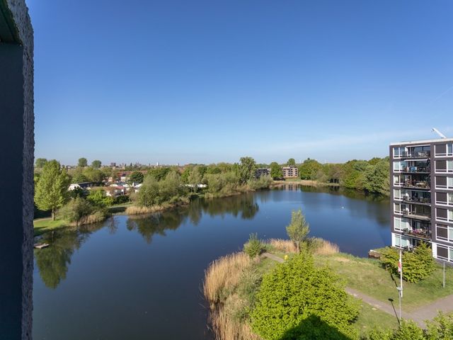 Bosboompad 50, Rosmalen