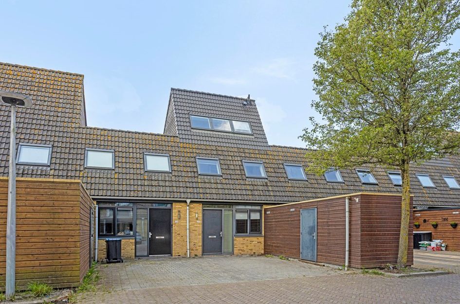 Windhalm 25