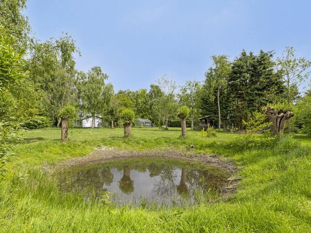 Grindweg 1, Ellewoutsdijk