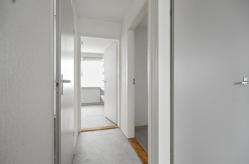 L. Pietersestraat 73