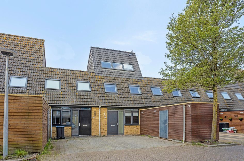 Windhalm 25