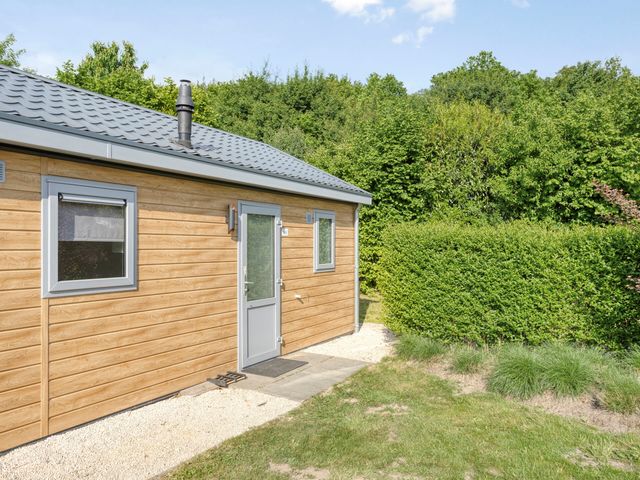 Den Drul 19R1, Linden