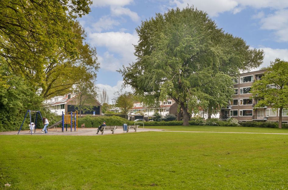 Pruimenlaan 60