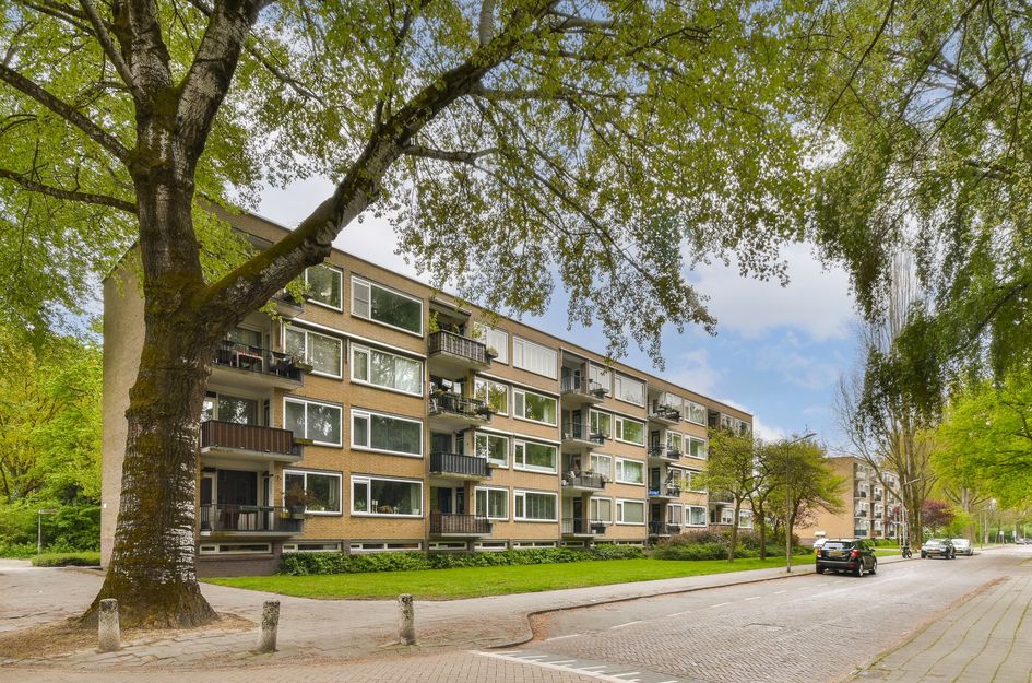 Pruimenlaan 60