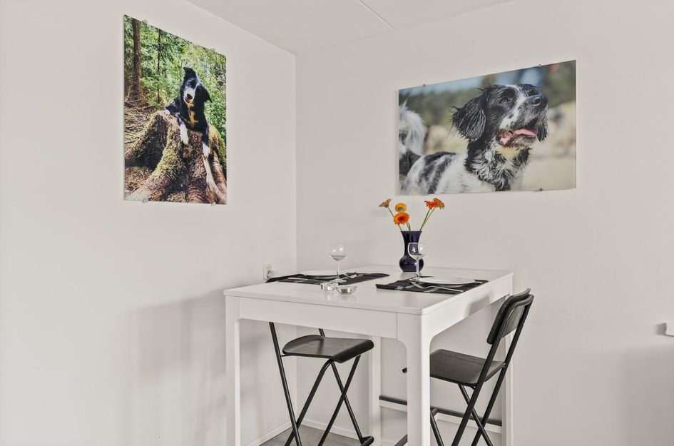 Camera Obscurastraat 211
