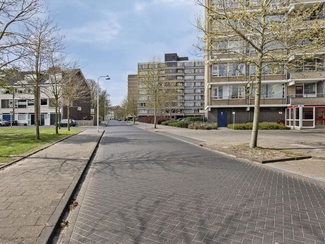 Tobias Asserlaan 265, Diemen
