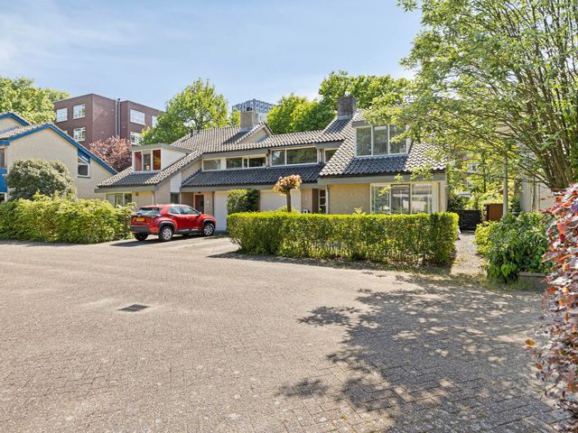 Van Eijsingapark 6, Leiden