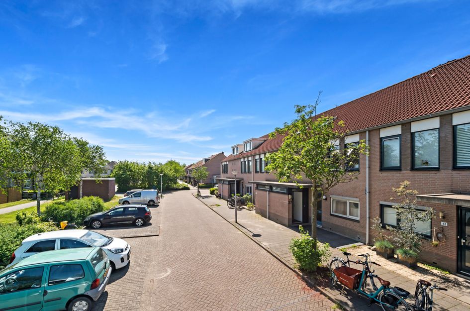 Kaasjeskruid 37