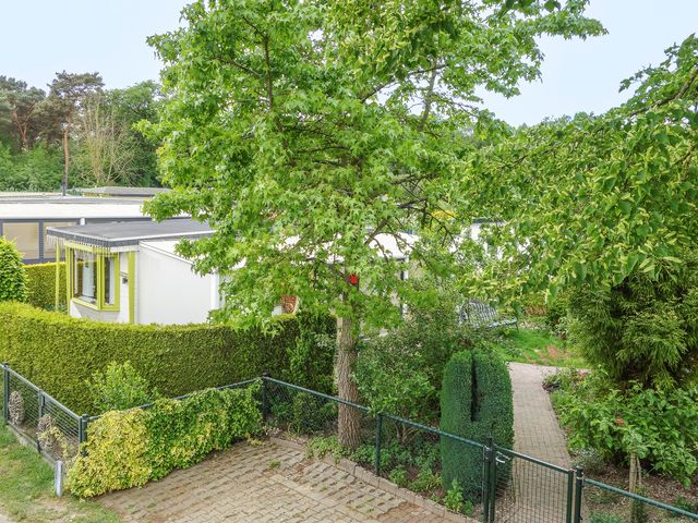De Peel 13j91, Heel