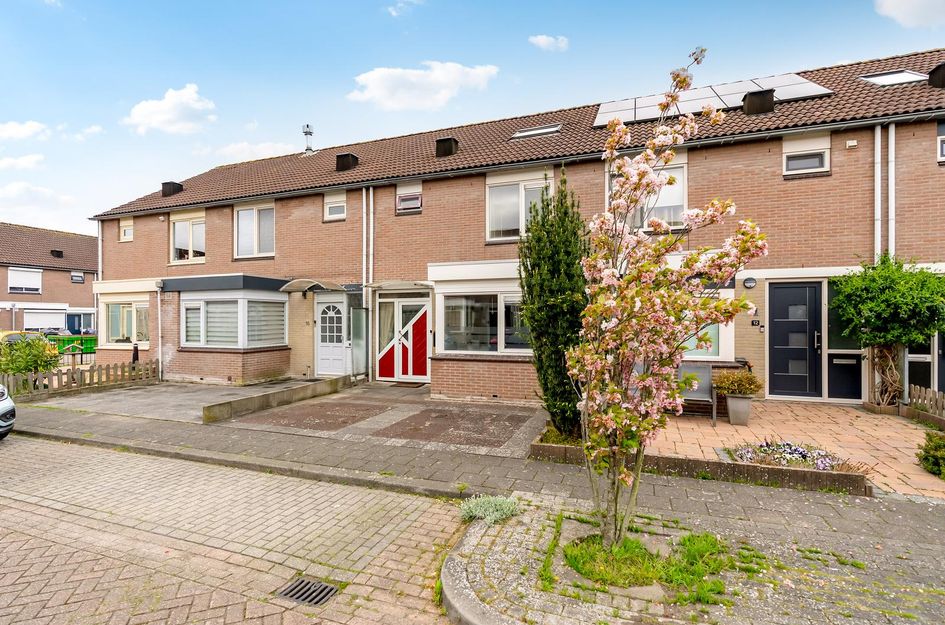 Mannagrasstraat 14