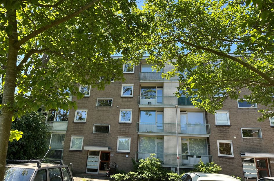 Van Leeuwenstraat 128