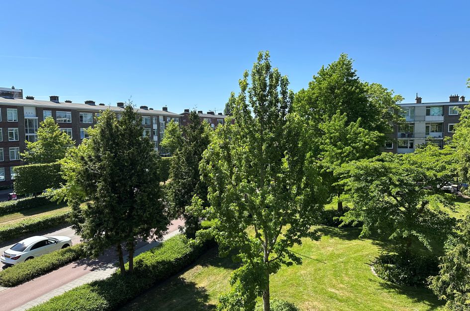 Van Leeuwenstraat 128
