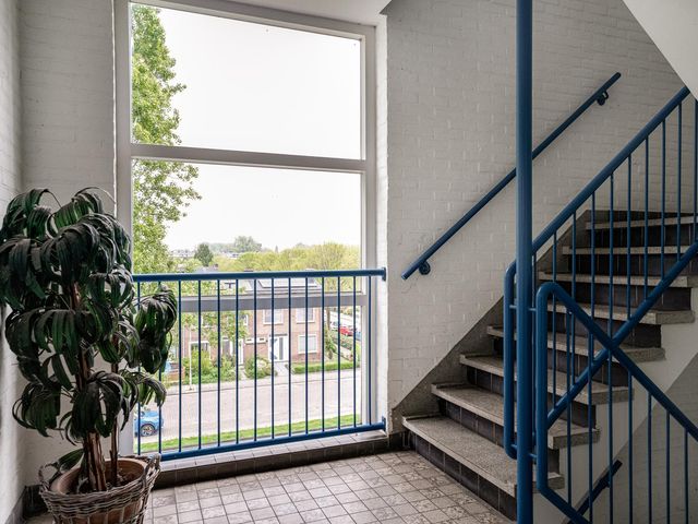 Van Borselenstraat 146, Arnhem