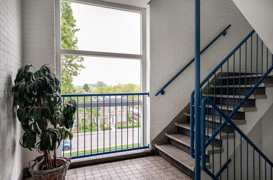 Van Borselenstraat 146