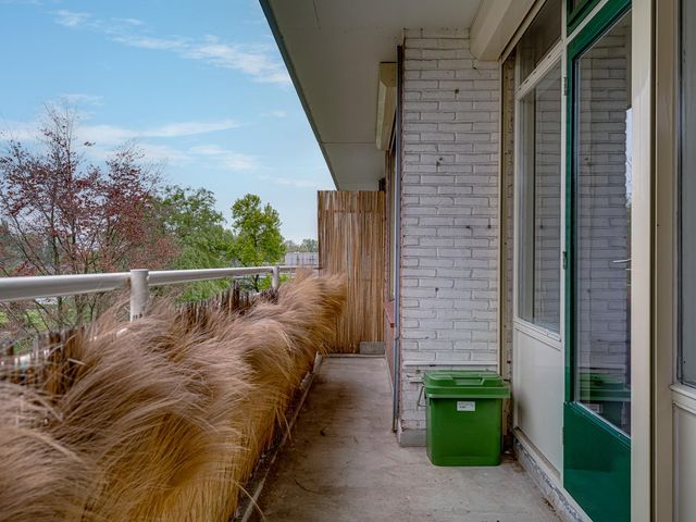 Van Borselenstraat 146, Arnhem