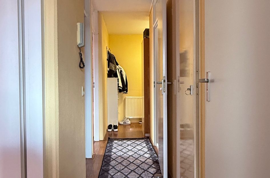 Van Der Helststraat 114