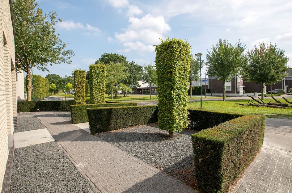 Windwijzer 2