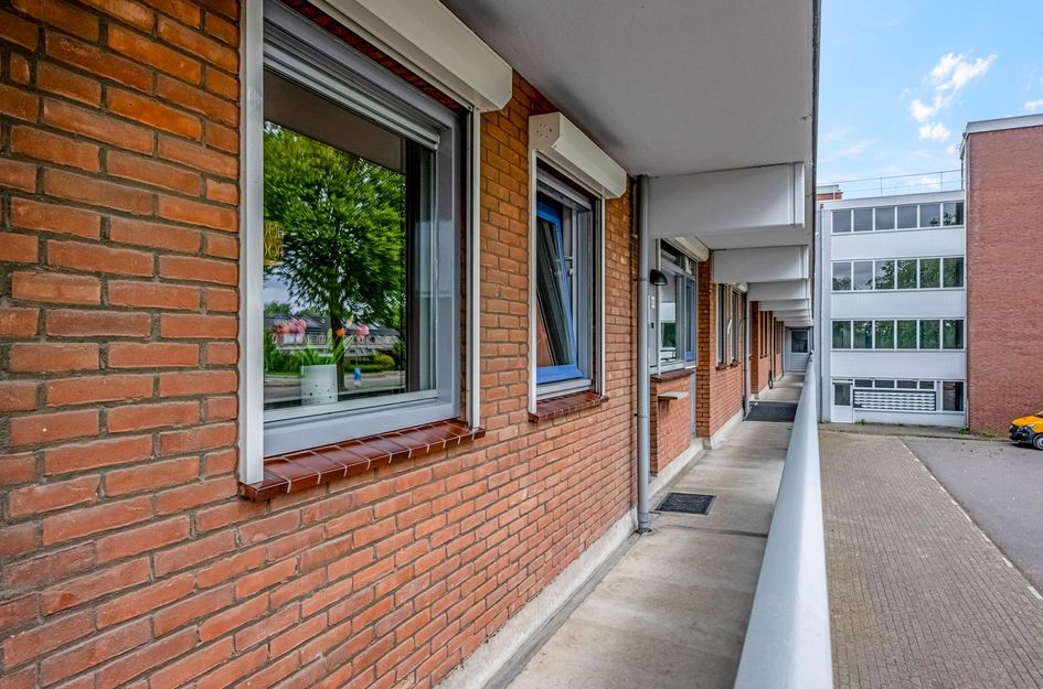 Orionsingel 320
