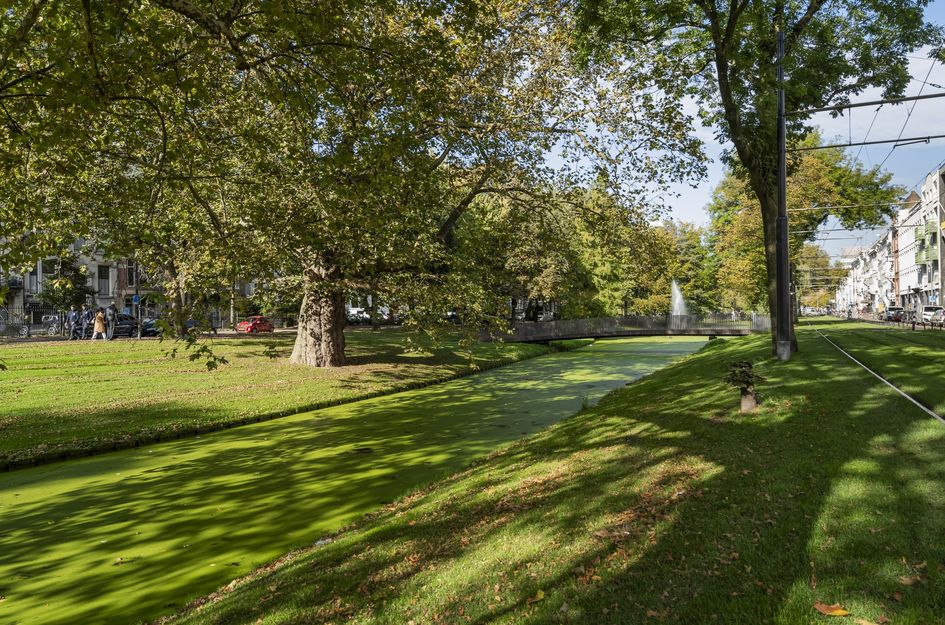 Eendrachtsweg 64F