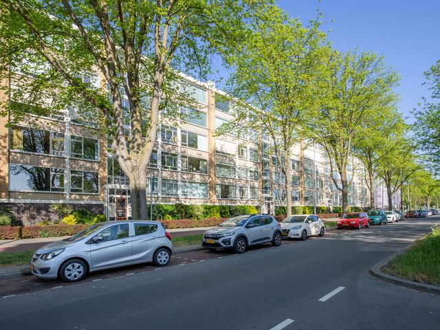 Groen van Prinstererlaan 117, Den Haag