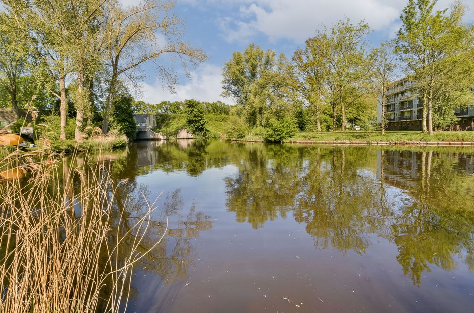 Pinksterbloemweg 12