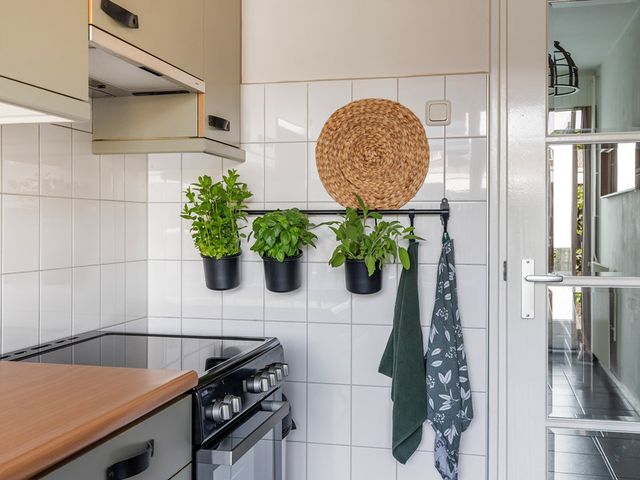 Kruizemuntstraat 891, Apeldoorn