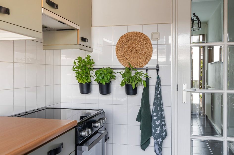 Kruizemuntstraat 891