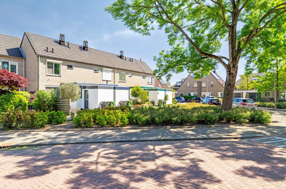 Tulpstraat 23
