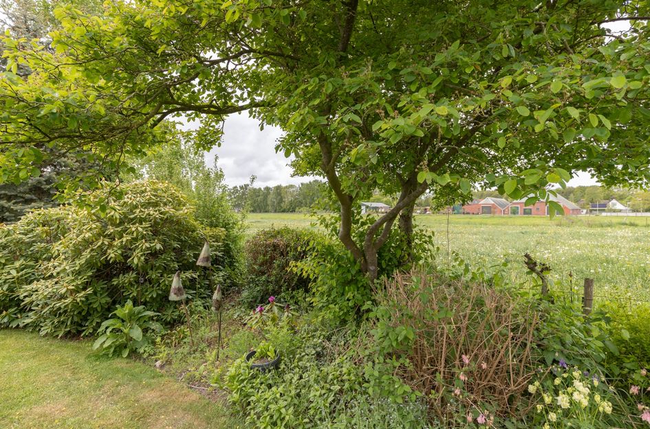 Akkereindenweg 19