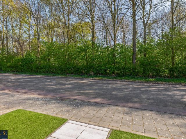Petuniastraat 13, Ittervoort
