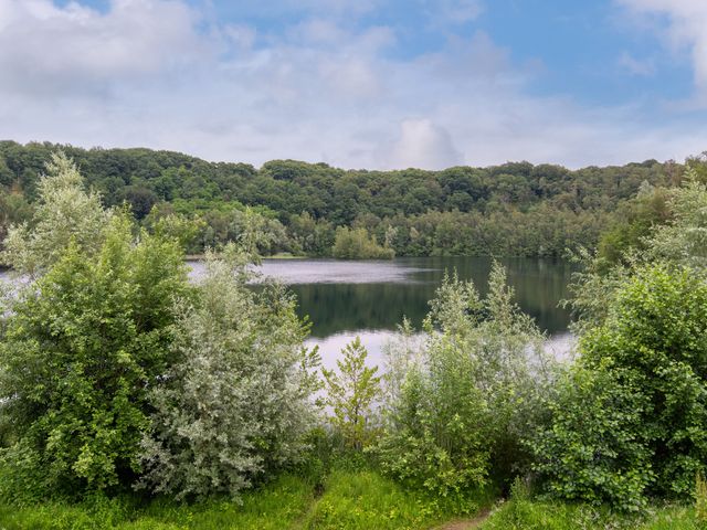 Zanglijster 101, Rhenen