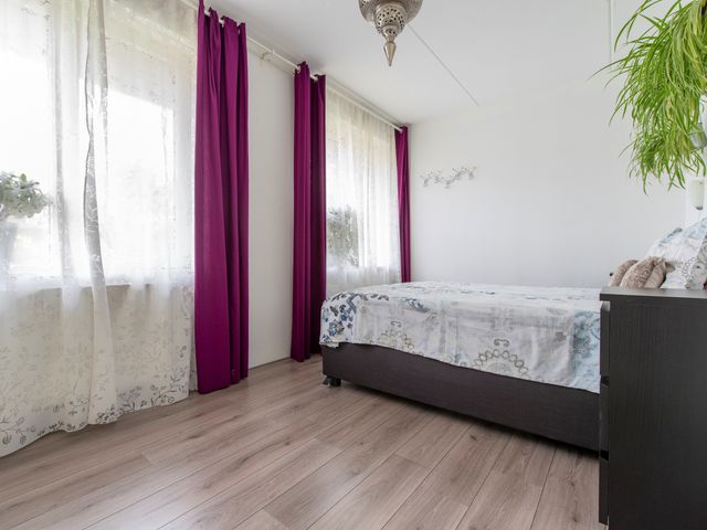Zanglijster 101, Rhenen