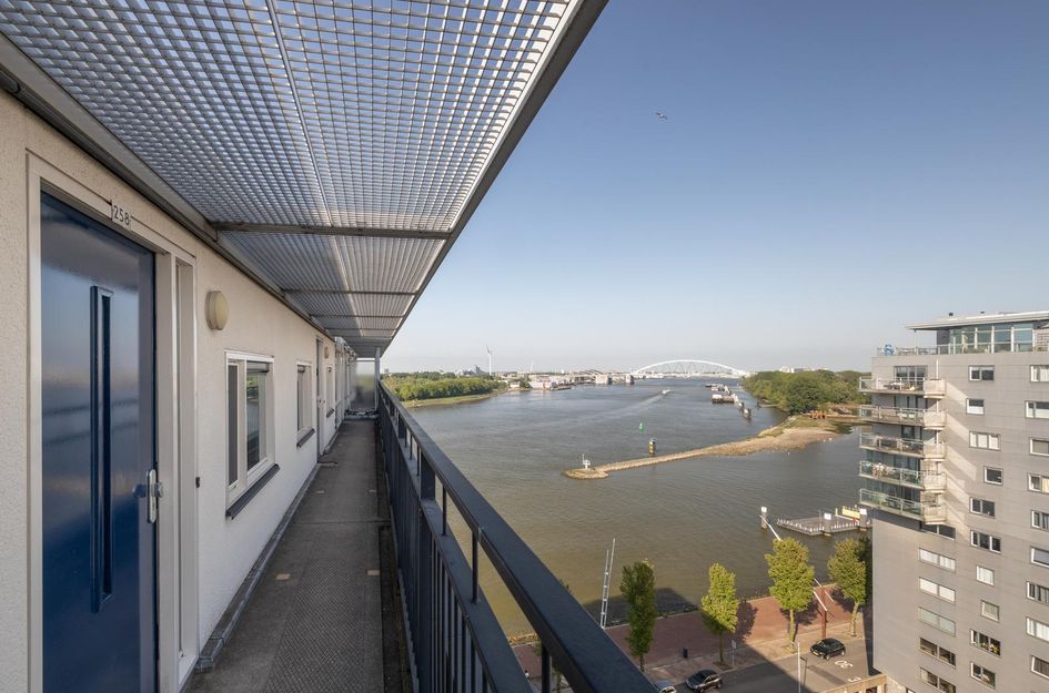 Adriaan Kooningsstraat 258
