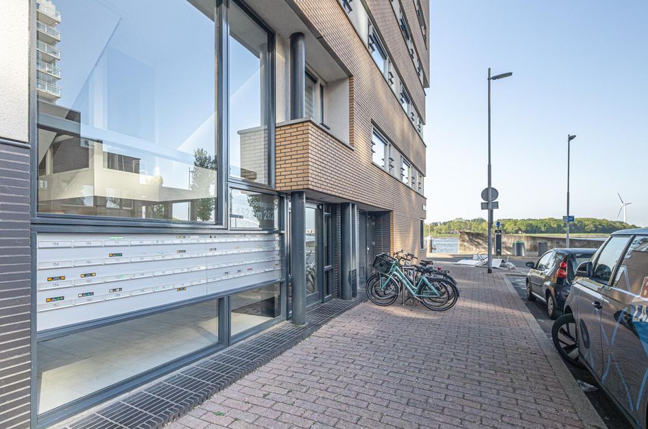 Adriaan Kooningsstraat 258