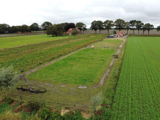 Holte 12, Onstwedde