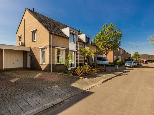 Hondsbroek 74, Born