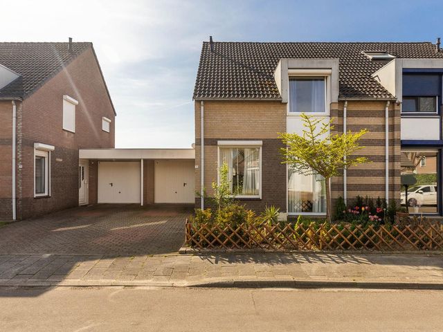 Hondsbroek 74, Born