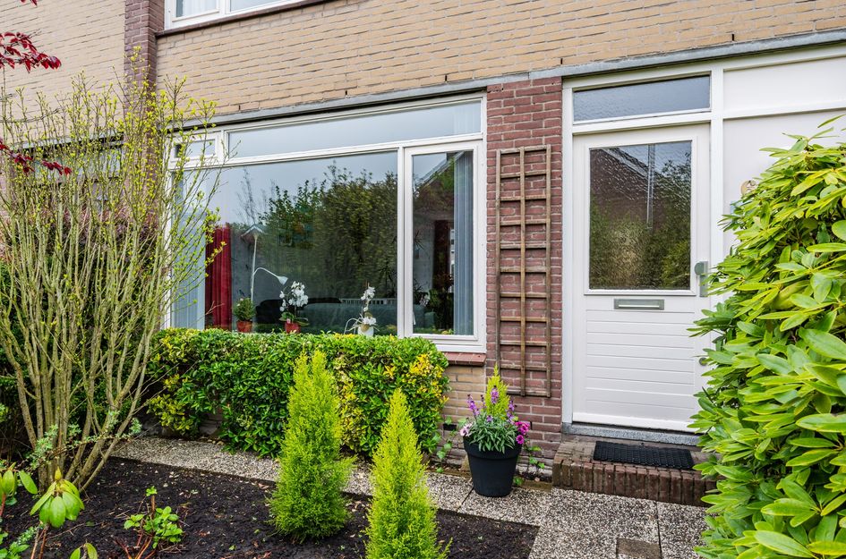 Merel 6
