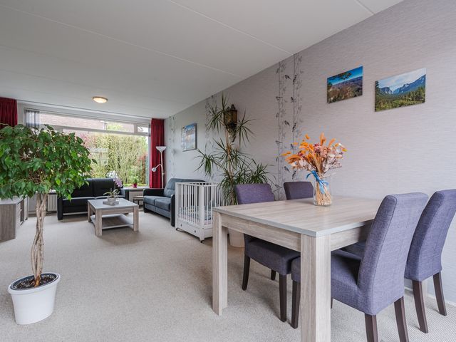 Merel 6, Bodegraven
